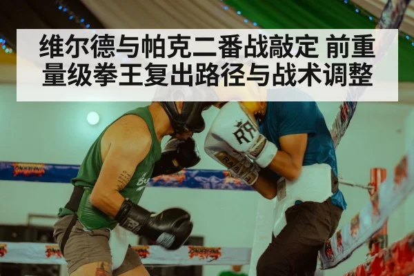 维尔德与帕克二番战敲定 前重量级拳王复出路径与战术调整 | jiuyou game